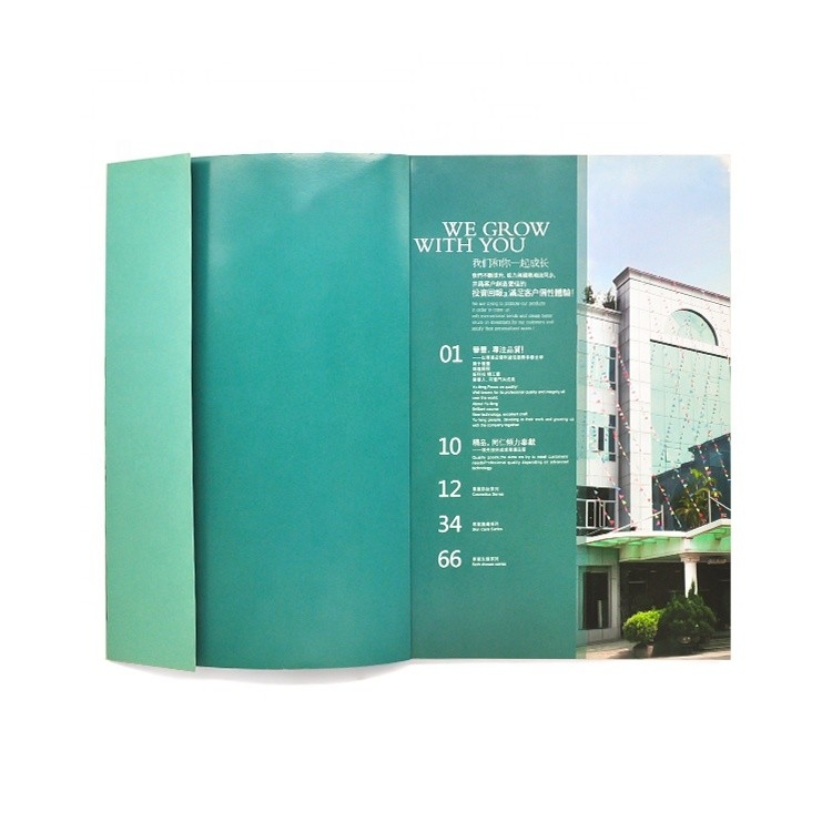 Customized Color Picture Book Printing 4c+4c CMYK Color ISO Approval