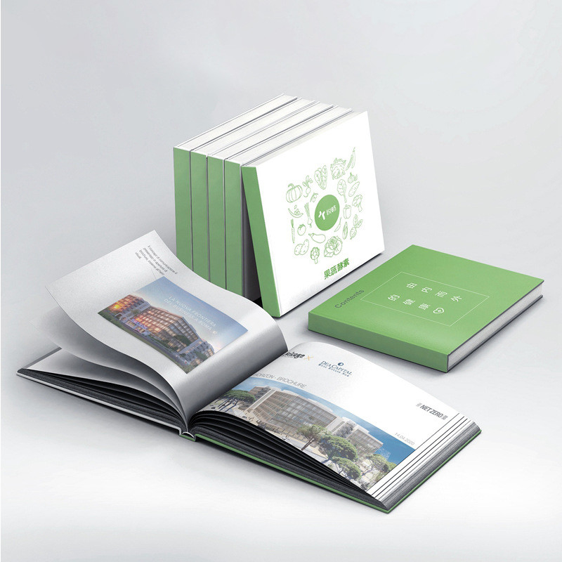 Leaflet Guide Full Color Printing Booklet 128gsm 157gsm Cover Thickness